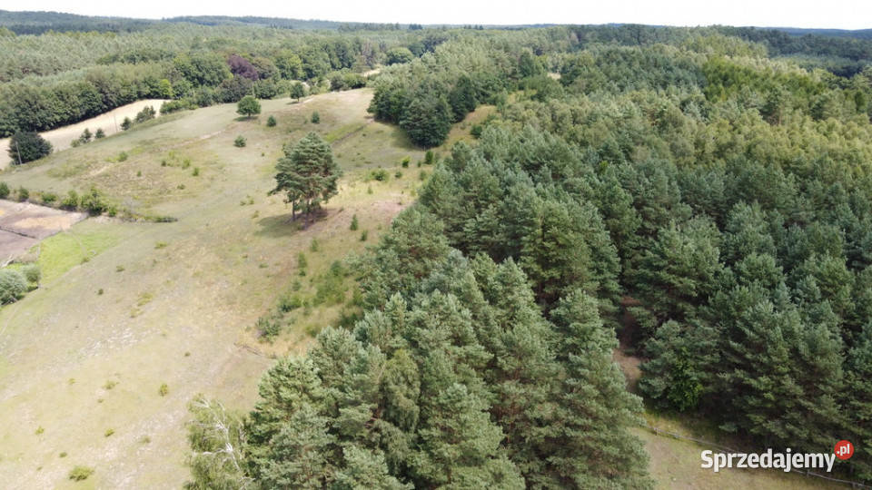 Działka rolna w Górzyskach Górzyska sprzedam