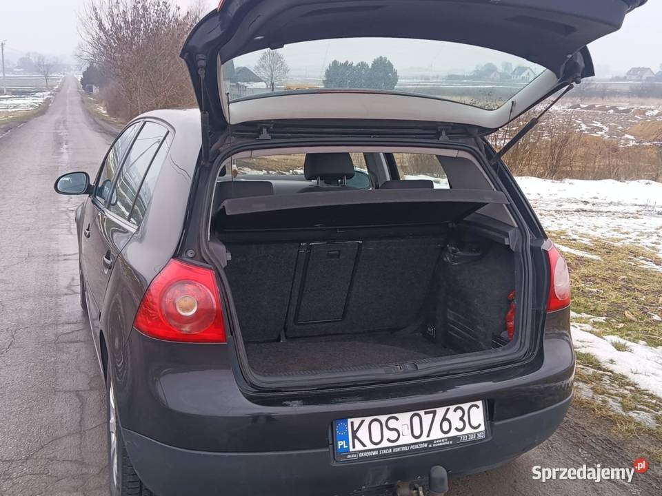 Volkswagen Golf V 19 tdi Rok produkcji 2005
