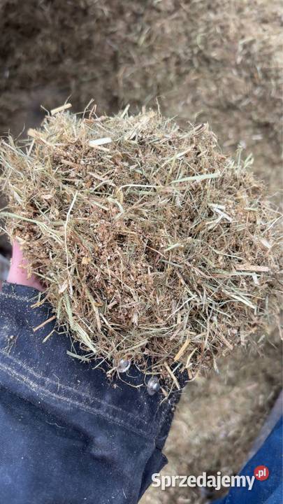 Suchy tmr Karmy i pasze Włostów