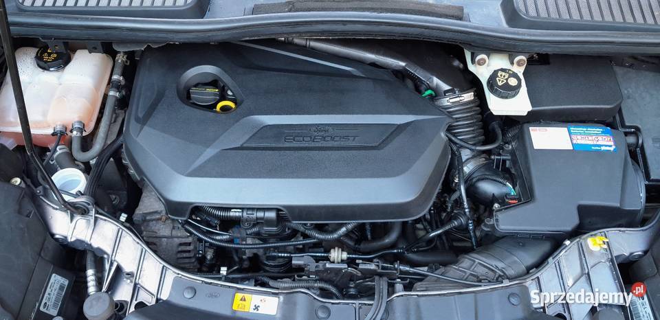 FORD C 16 Turbo Benzyna 150 C-MAX Brody