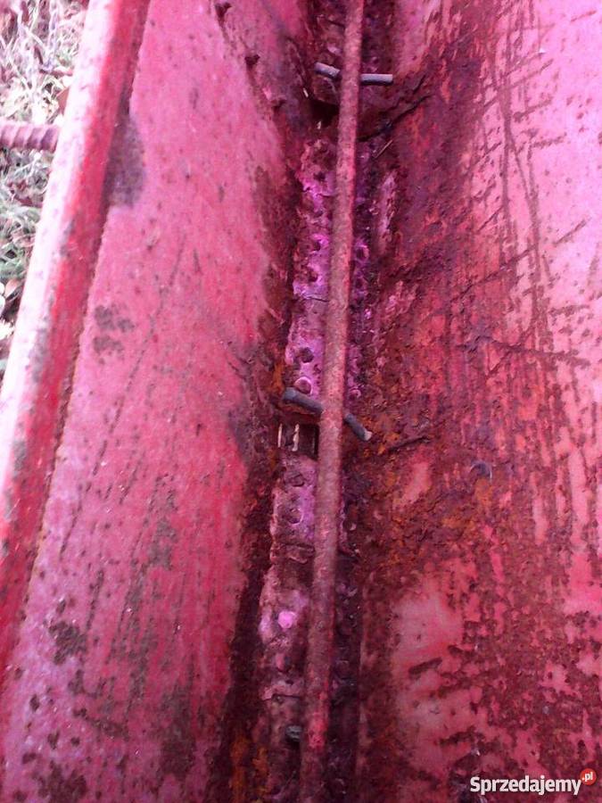 sadzarka do czosnku cebuli bobu 4 rzędowa