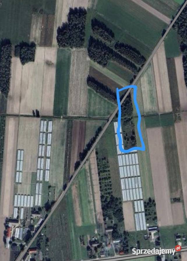 Ziemia rolna Sprzedaż