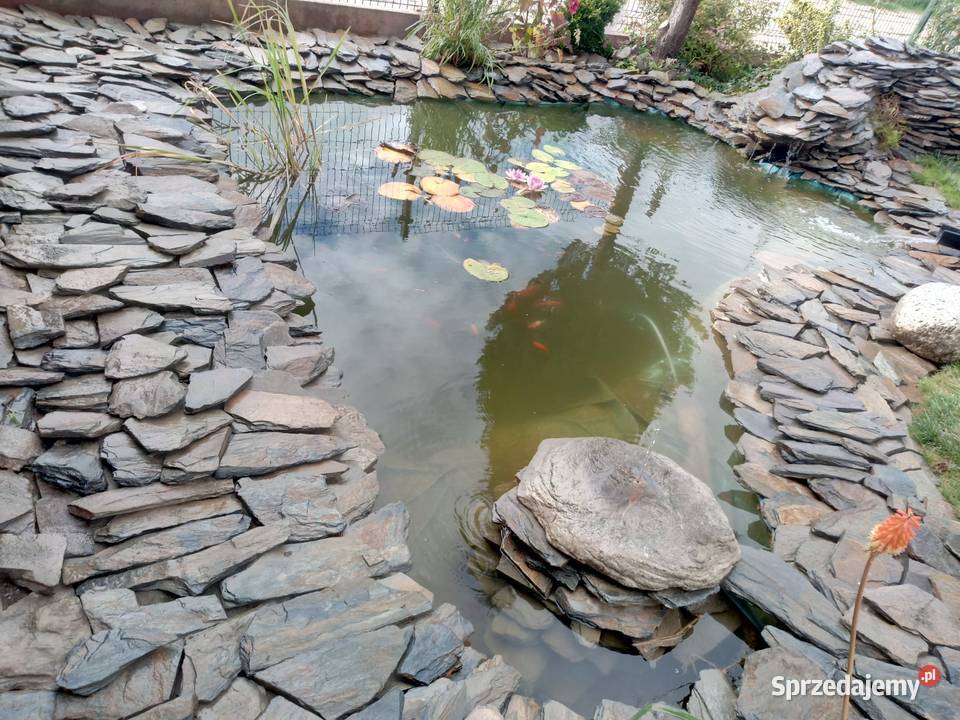 łupek na podjazd podjazd z kamienia oczko wodne Architektura ogrodowa Księżyce