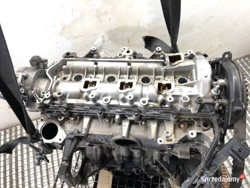 SILNIK FORD 15 120 ZTDA FOCUS IV sprzedam