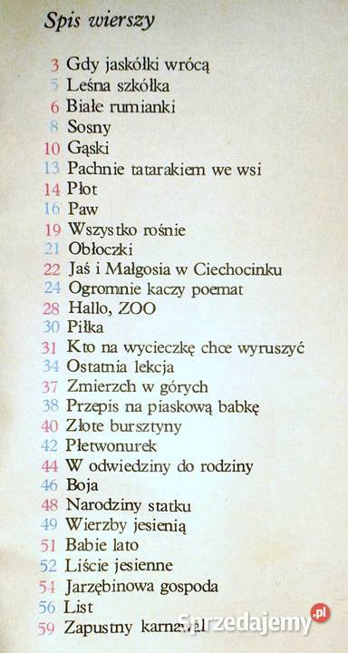 Złote bursztyny Halina Szayerowa Chełm