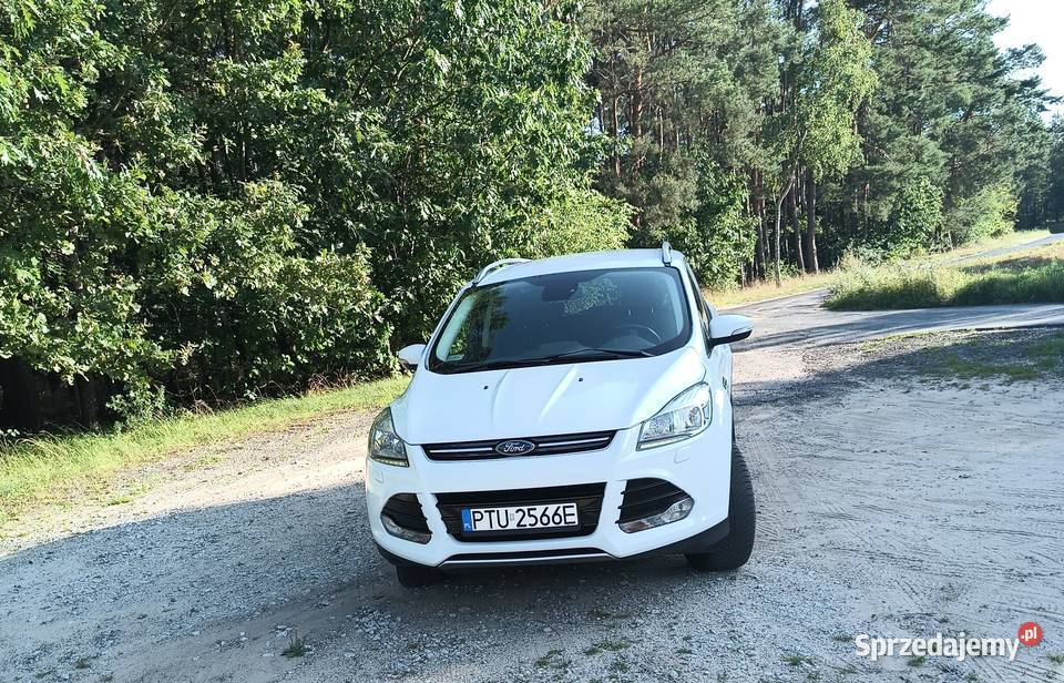 Sprzedam ford Kuga wielkopolskie Turek sprzedam