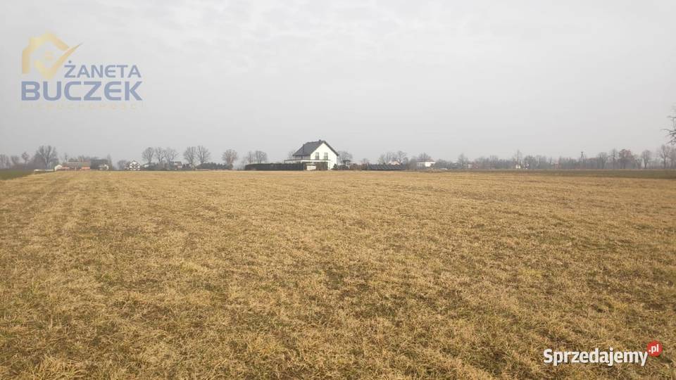 Sprzedam działki rolne z WZ w miejscowości Strzyżew