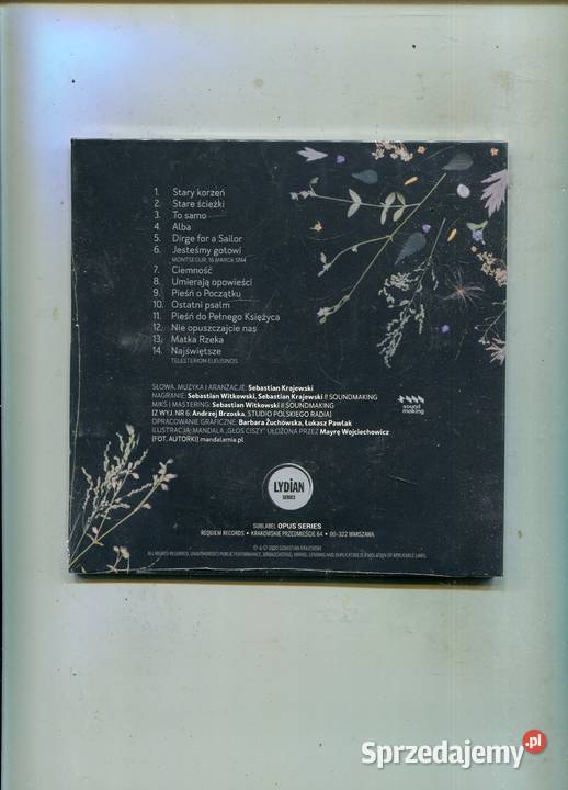 Sebastian Krajewski Niebo w kamieniu Płyta CD CD Płyty i kasety Szczecin sprzedam