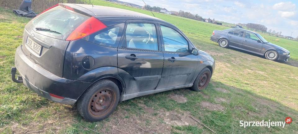 Ford Focus nieuszkodzony Focus Gorzów Śląski