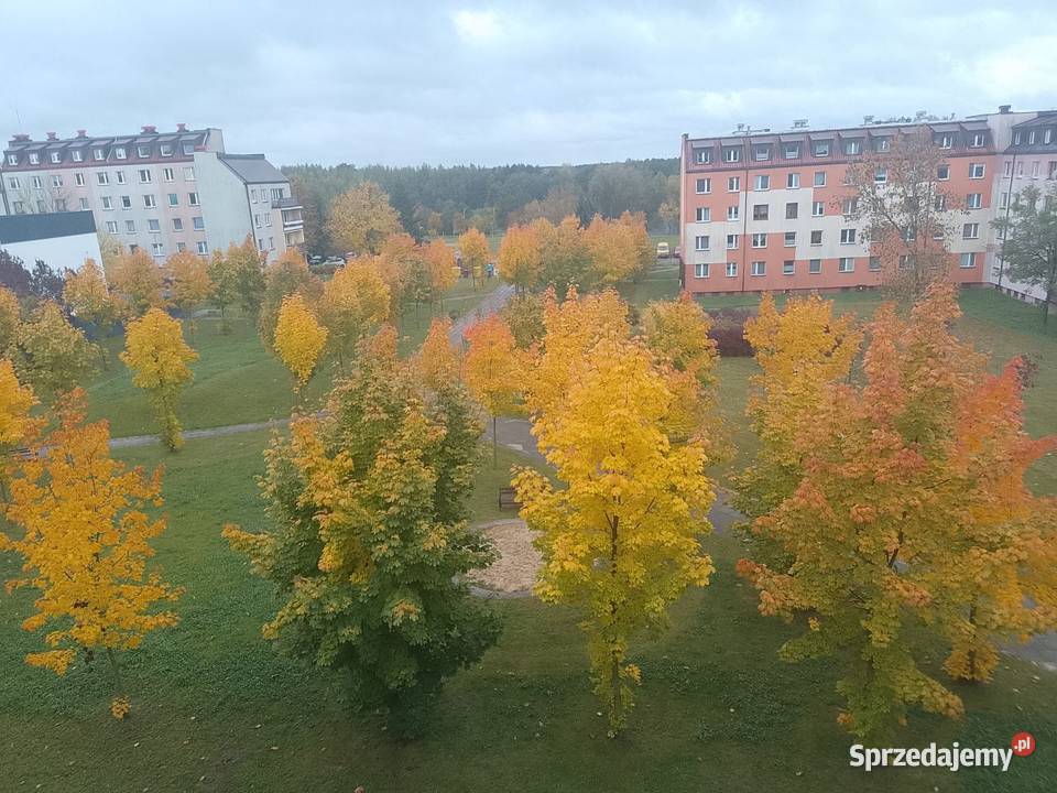 Umeblowane przestronne 3 pokoje 726 m Bełchatów sprzedam