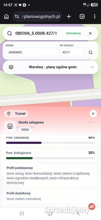 Działka Inwestycyjna 176 ha DK92 Ogrodzona Prąd 145m Trzciel