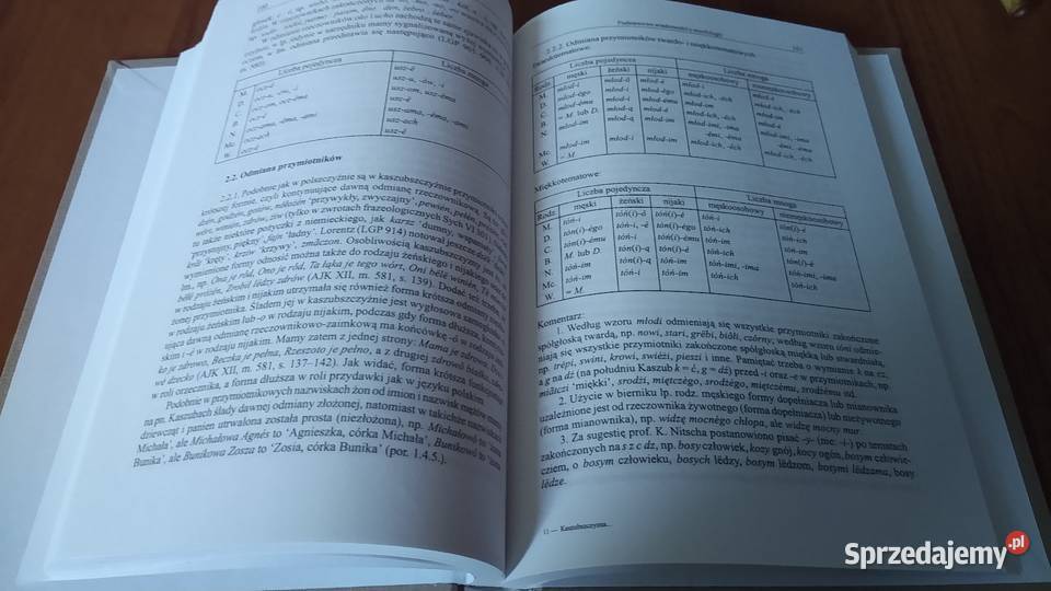 Najnowsze Dzieje Języków Słowiańskich filologie, językoznawstwo Gdańsk