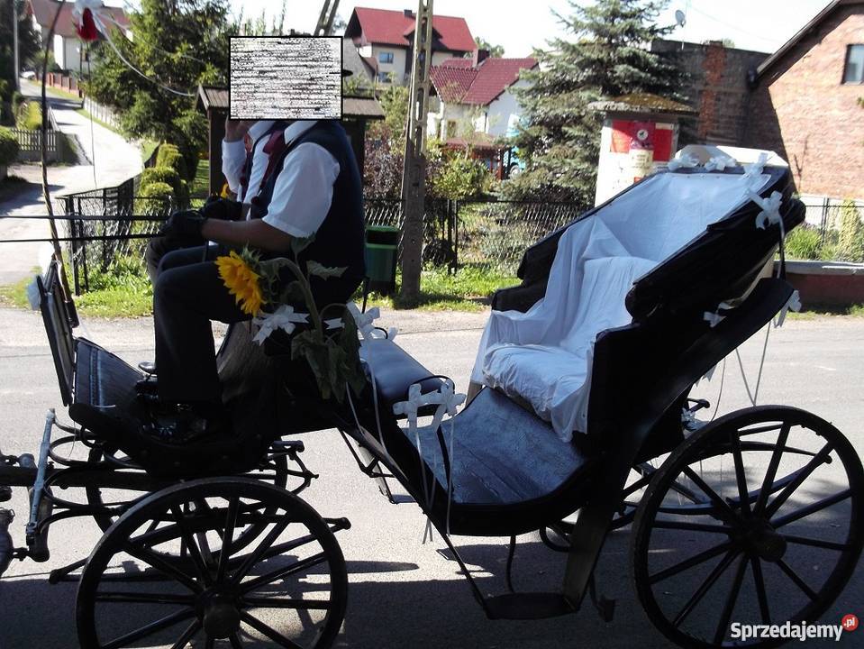 Bryczka Konna śląskie Pszczyna
