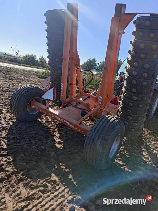 Waly posiewne lakowe Wojewodzin