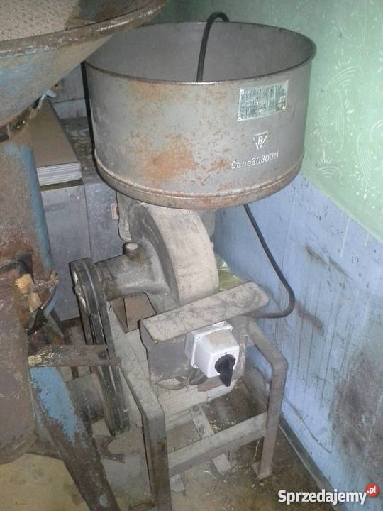 Śrutownik bijakowy bąk kilka sztuk małopolskie Konina