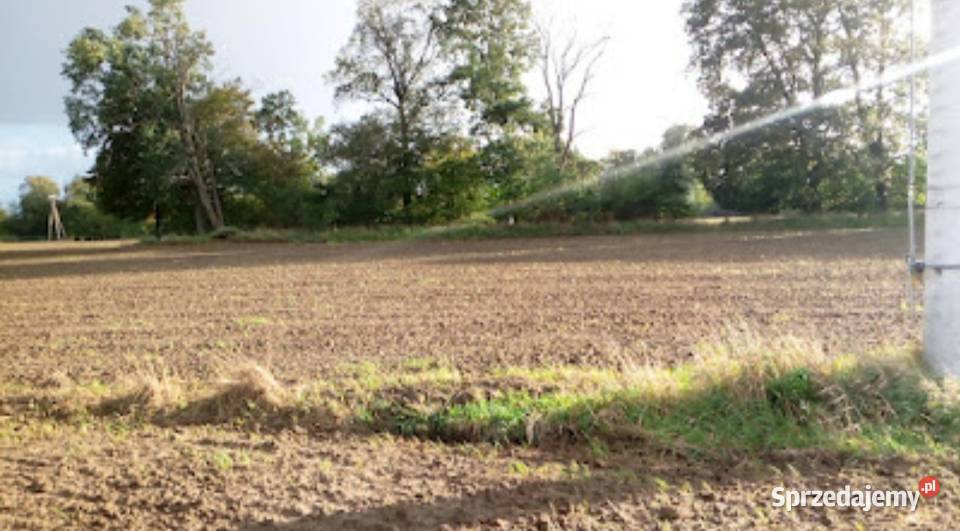 Grunty rolne pod uprawę WrocławWidawa Przepiękny Sprzedaż Wrocław sprzedam