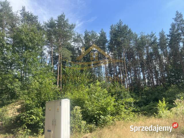 sprzedaży gruntu 1900m2 Makówka Sprzedaż