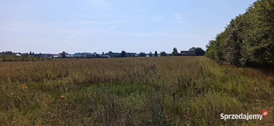 Siemiatycze Żeromskiego DZIAŁKA BUDOWLANA podlaskie sprzedam