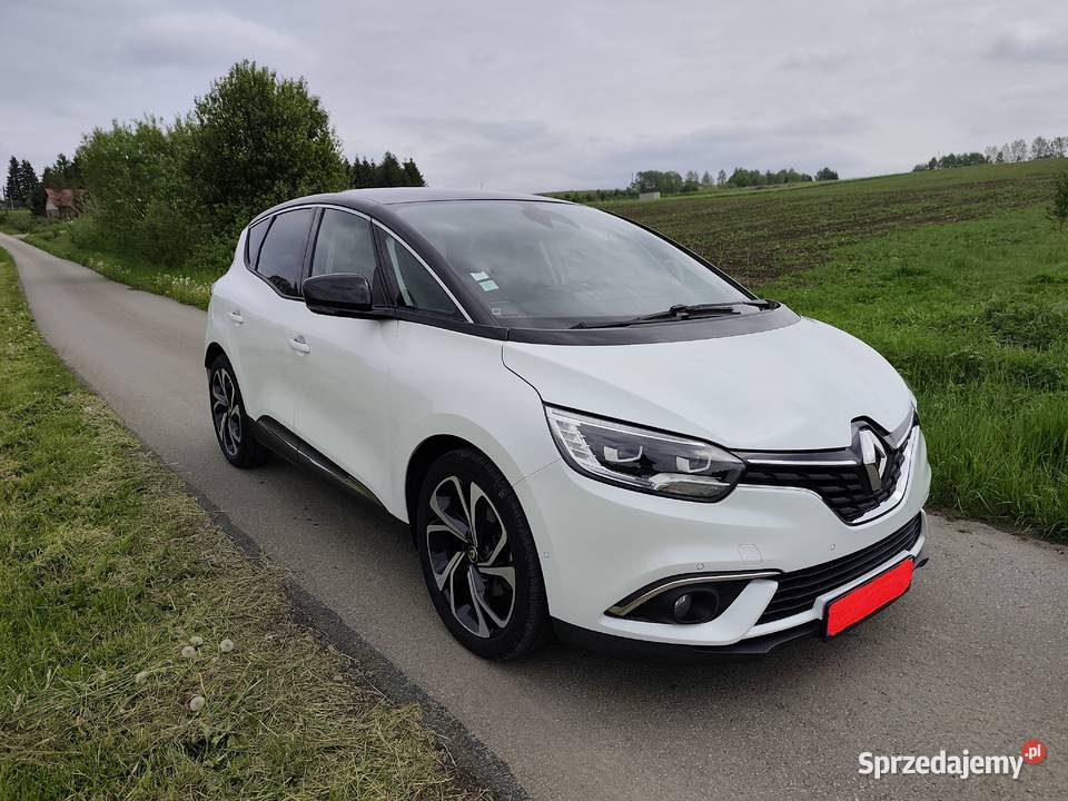 Renault ScenicIntense16 dCi Rok produkcji 2017 podkarpackie