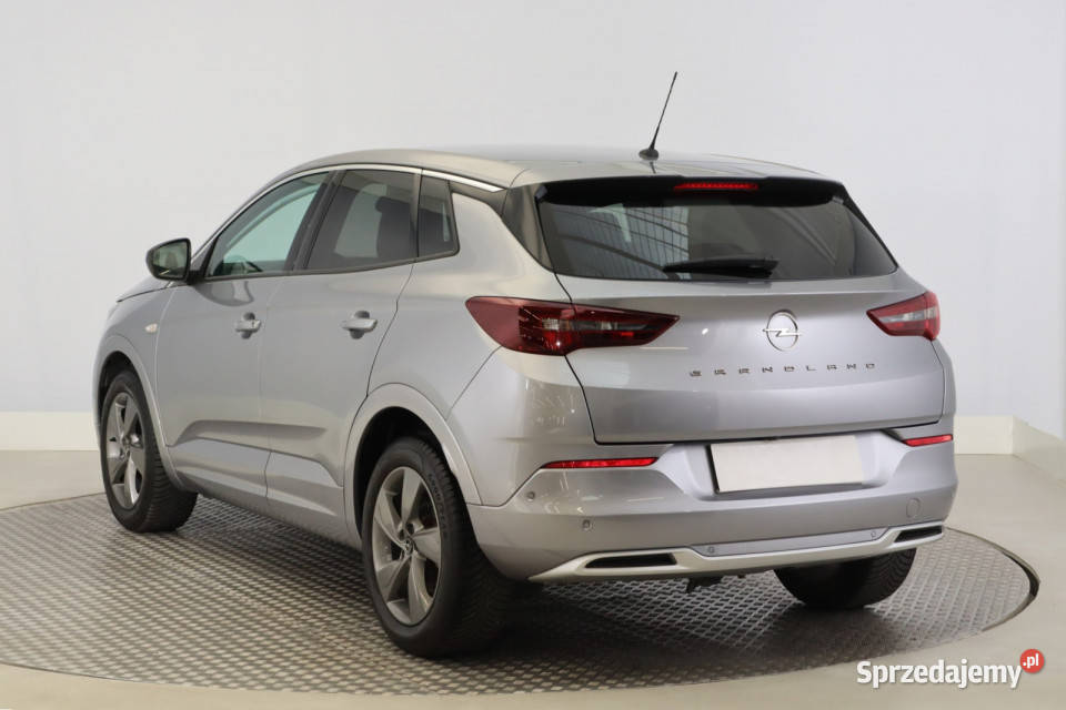 Opel Grandland 12 Turbo czujnik parkowania Zabrze
