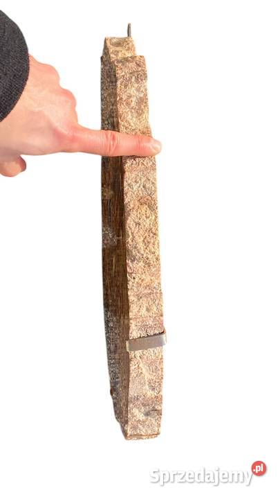 002 Wielkie skamieniałe drewno Rainbow Wood 41 x Gryfice