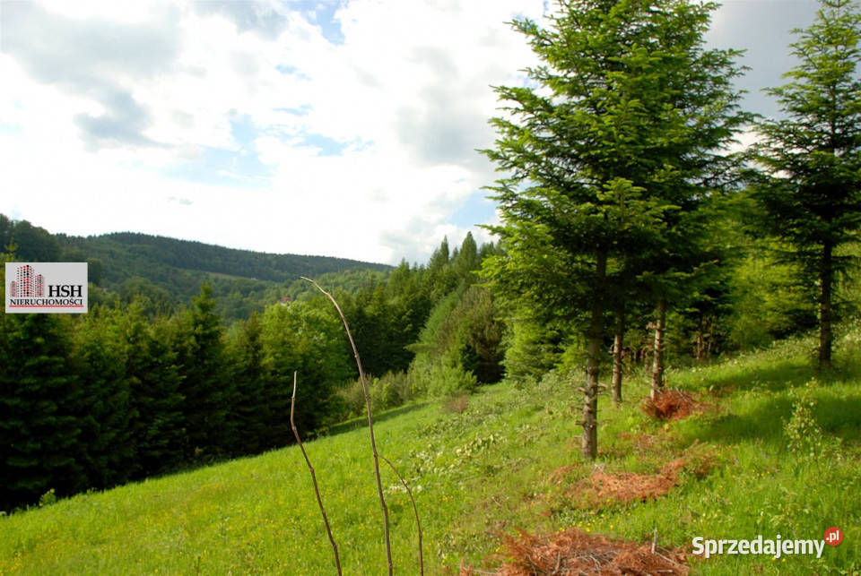 Działka do sprzedania Maków Podhalański 14000m2