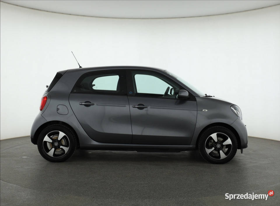 Smart Forfour EQ szary Piaseczno