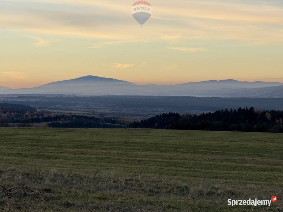 sprzedaży działki Frydman
