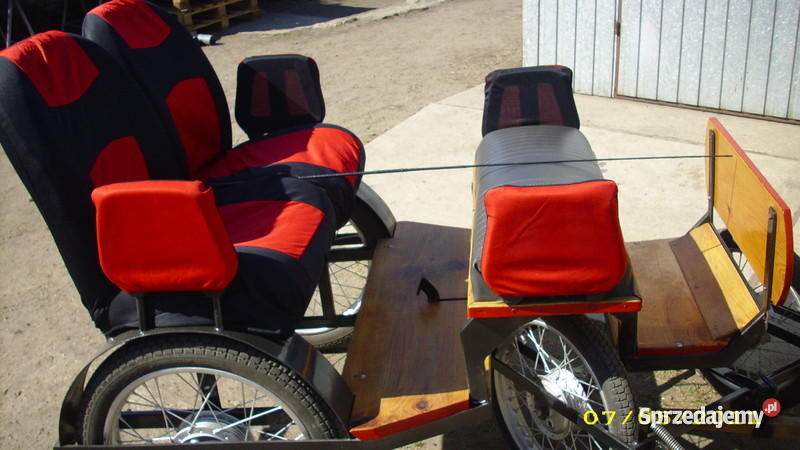 KLACZ KUCA SZETLANDZKIEGO Pleszew