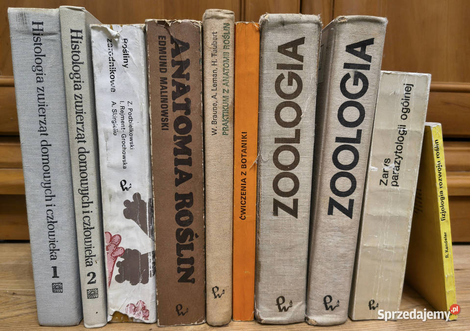 Zestaw 10 książek parazytologii fizjologii Sosnowiec sprzedam
