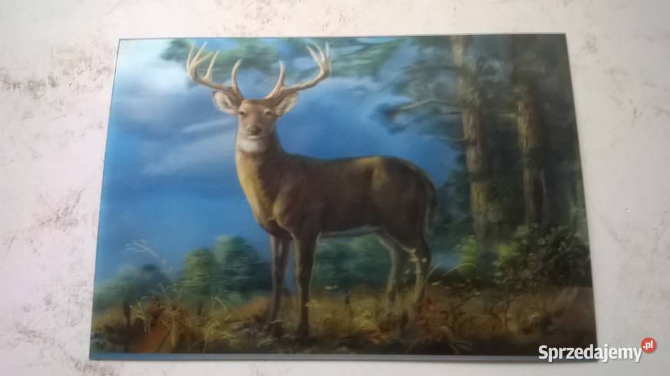 pocztówki widokówki trójwymiarowe zwierzęta Gliwice