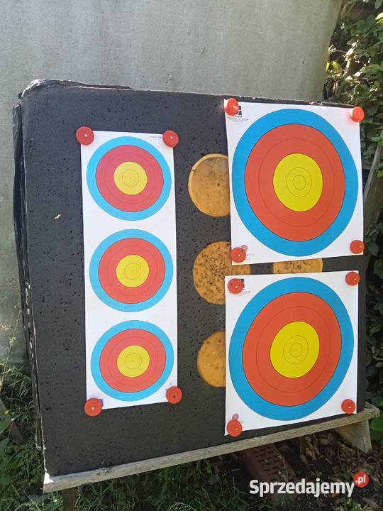 Łuk bloczkowy tarczowy Hoyt Vantage Elite Plus wielkopolskie Środa Wielkopolska