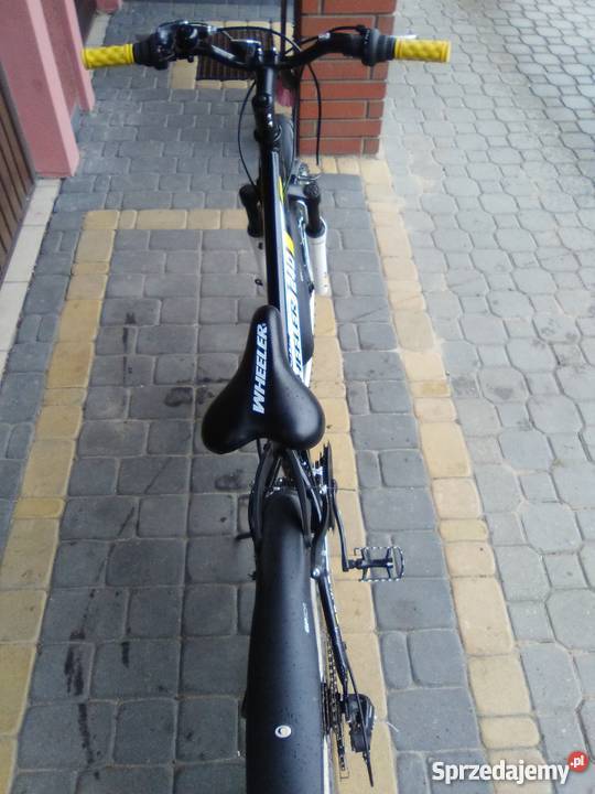 Rower młodzieżowy Wheeler Junior 240 Bielsk Podlaski