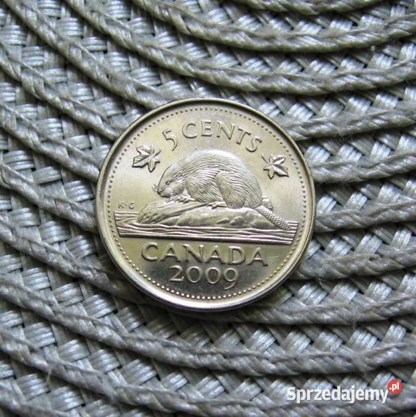 Kanada 5 Cent 2009r Ładna wielkopolskie Kalisz