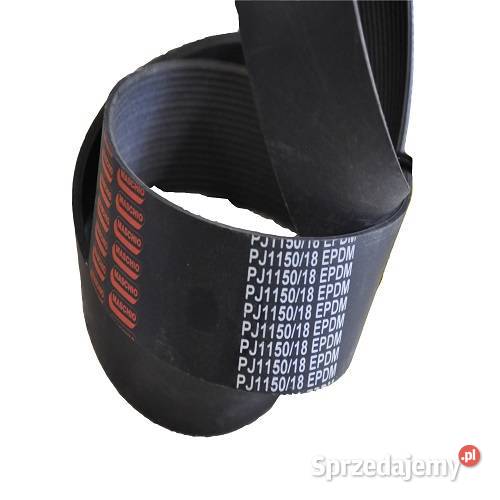PJ115018 Pas wieloklinowy Maschio Gaspardo