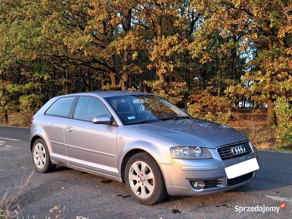 Audi a3 8p + dwa komplety oryginalnych felg