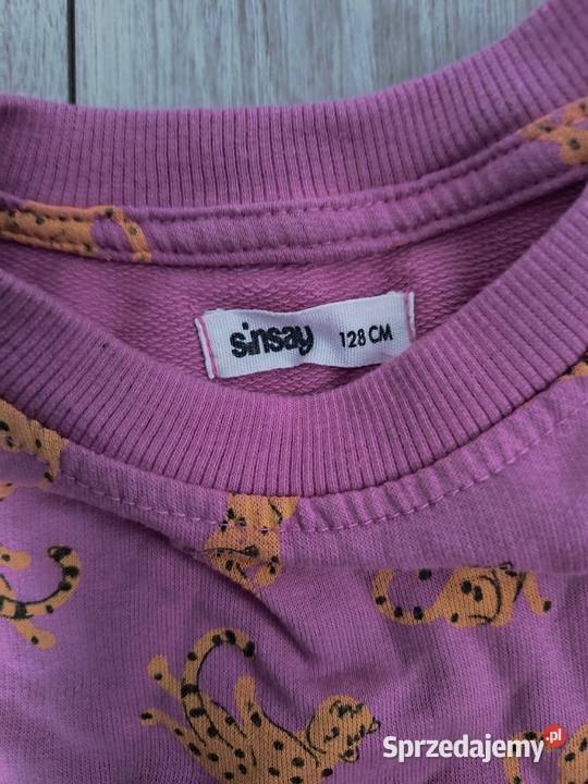 Bluza