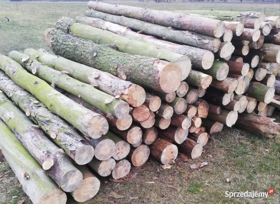Sprzedam drewno sosnowe opałowe Grajewo