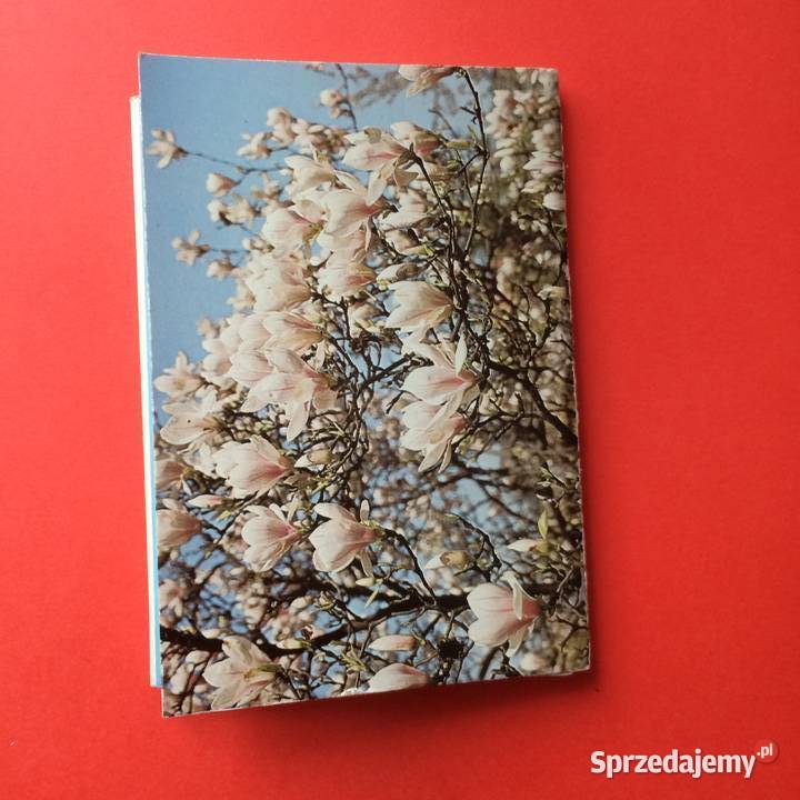 1567 Zestaw Widokówek Szczecin Antykwariat