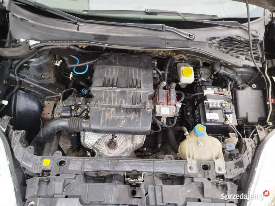 Fiat Grande Panda benzyna import niemcy bez rdzy 66KM Toruń