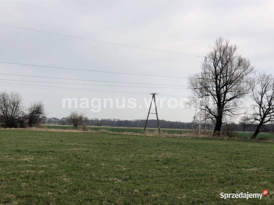 Na sprzedaż piękna działka rolna w Sprzedaż dolnośląskie Świdnica