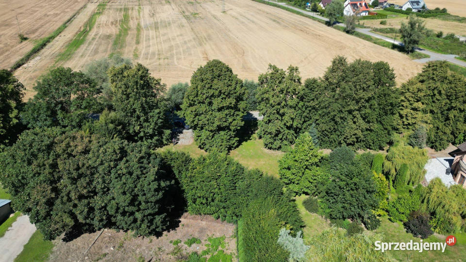 Działka siedliskowa Cedry MałeGdańskTrójmiasto 500zł/m2 pomorskie Cedry Małe