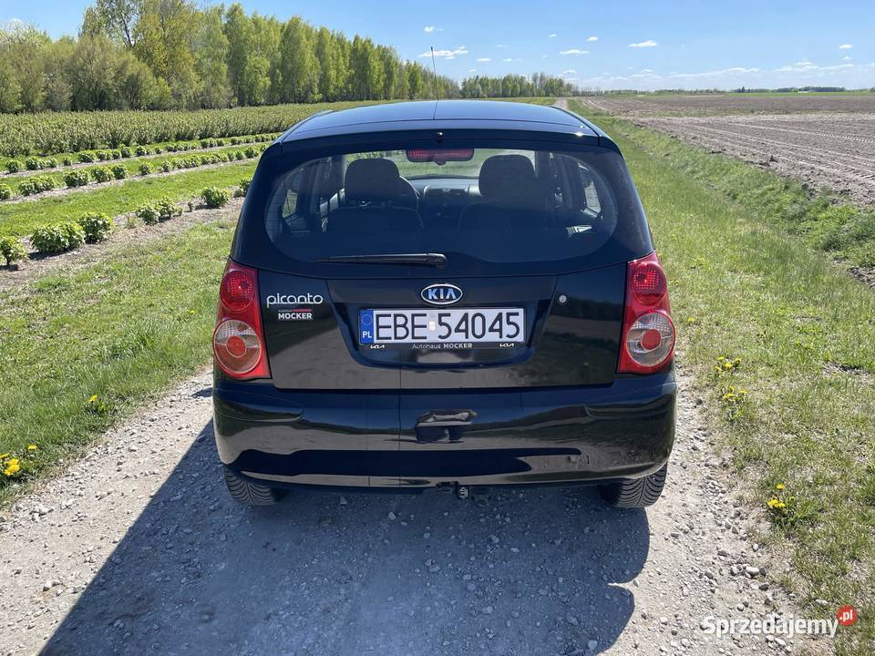 Kia Picanto 11 łódzkie Zelów