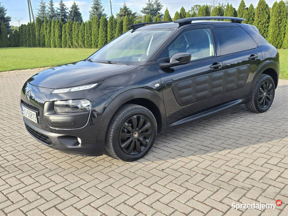 Citroen C4 Cactus 12Turbo Benz NaviKamera Kutno