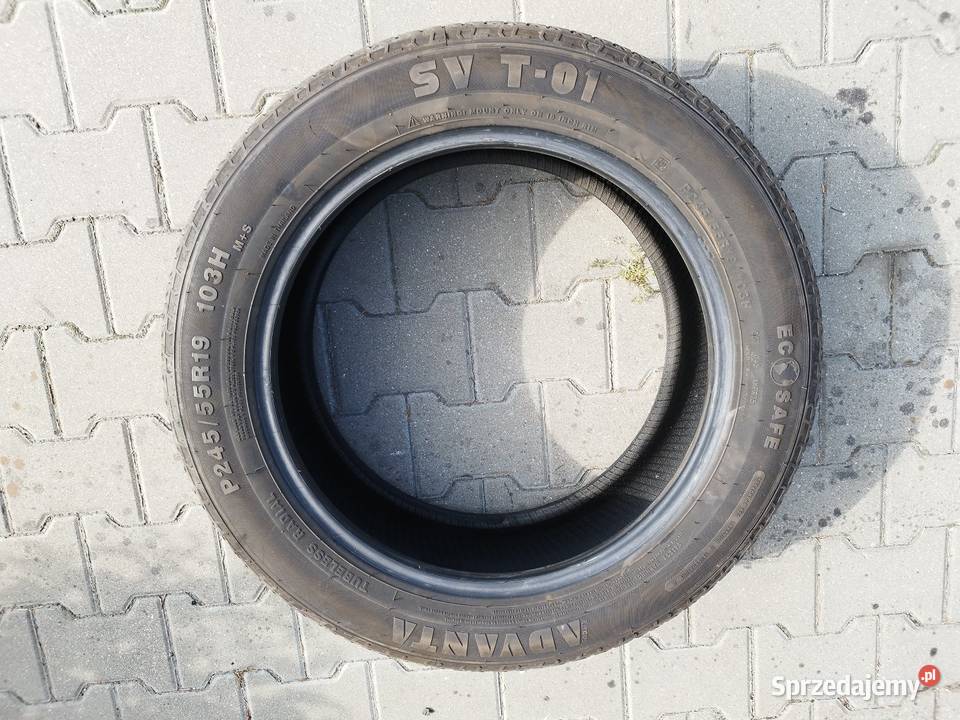 Advanta SVT01 24555r19 ms całoroczne Staw sprzedam
