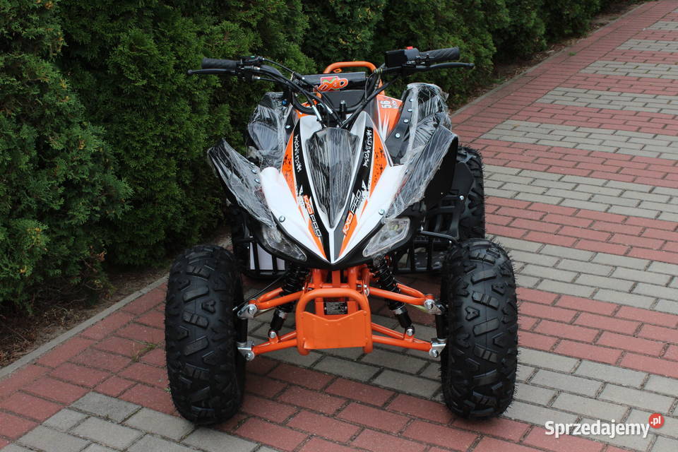 Quad raptor 125 średni 31 dzieci młodzieży 125cm3 Goleniów sprzedam