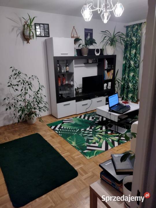 Mieszkanie na wynajem Warszawa