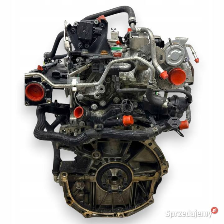 SILNIK HRA2 Nissan Qashqai II Juke Pulsar 12 T Chełm sprzedam