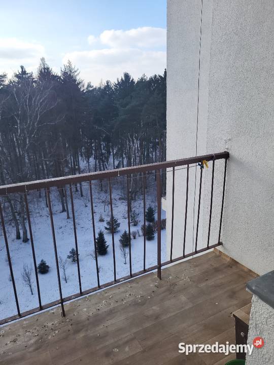 Syndyk sprzeda spółdzielcze własnościowe prawo Piętro 7 Łódź
