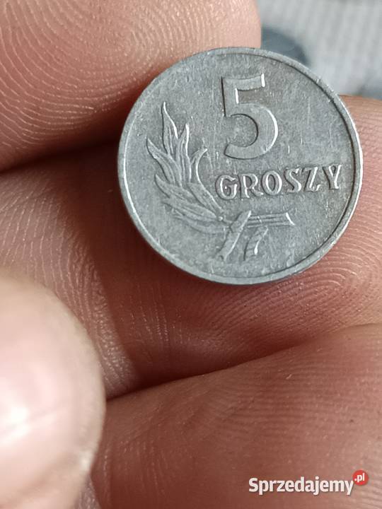 Sprzedam monete 5 groszy 1959 vbv Chełm